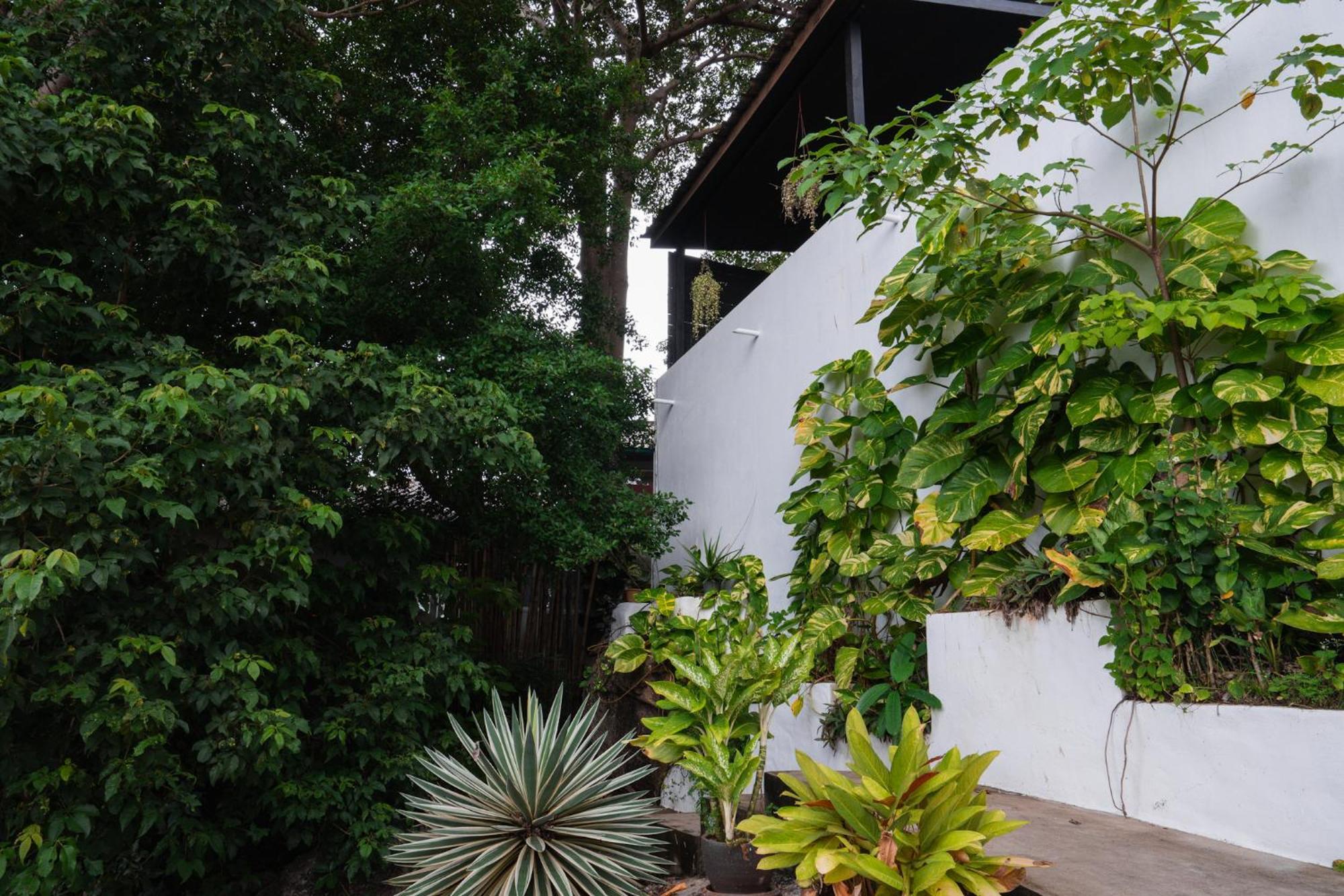 Lunar Villas Koh Tao - Luxury Private Pool Villas Ngoại thất bức ảnh